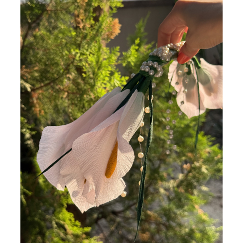 Lily Dream