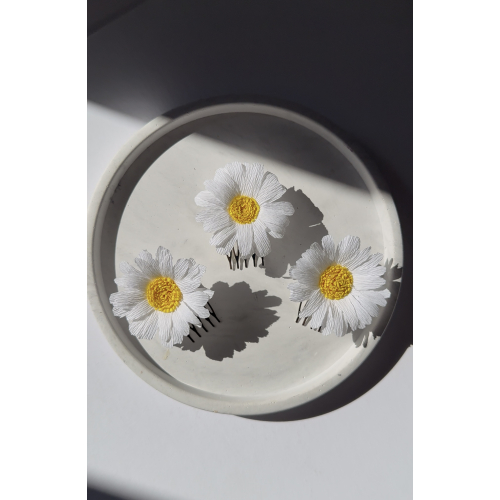 Daisy